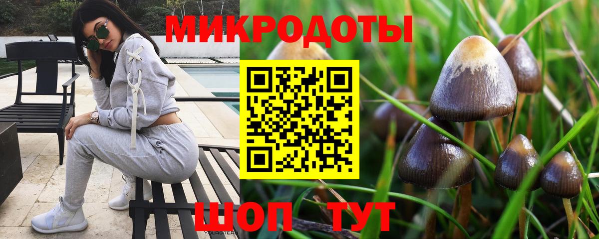 Псилоцибиновые грибы прущие грибы  купить закладку  Вход с VPN  Новошахтинск  Галлюциногенные грибы Psilocybine cubensis 